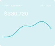 Gasto acumulado